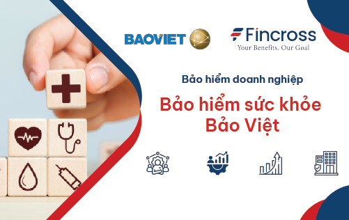 Bảo hiểm sức khỏe Bảo Việt cho doanh nghiệp